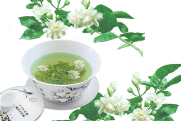 茉莉花茶营养