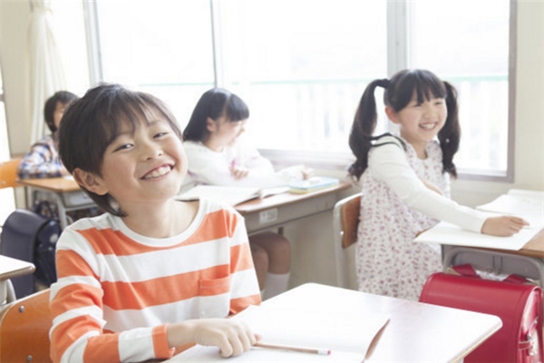 小学教育培训班认真