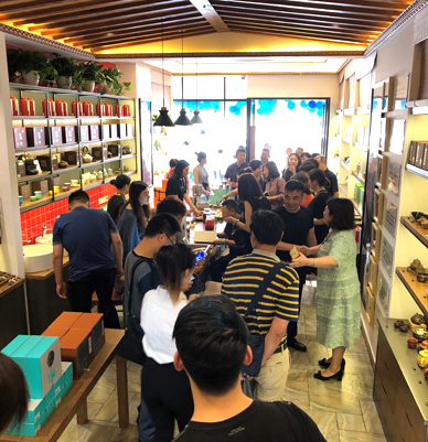 束氏茶界-图片展示
