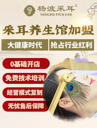 杨波采耳加盟