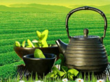 武夷星茶叶