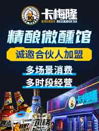 卡梅隆精酿酒馆加盟