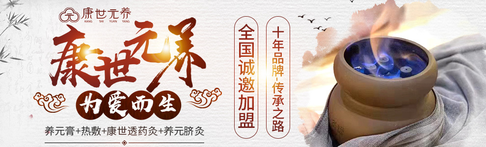 康世元养加盟