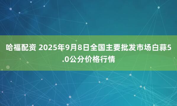 哈福配资 2025年9月8日全国主要批发市场白蒜5.0公分价格行情