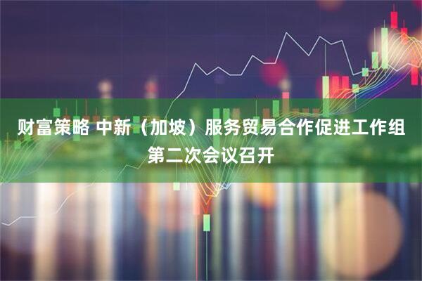 财富策略 中新（加坡）服务贸易合作促进工作组第二次会议召开