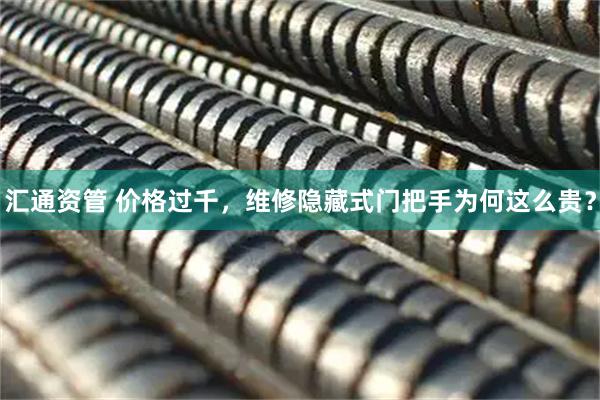 汇通资管 价格过千，维修隐藏式门把手为何这么贵？
