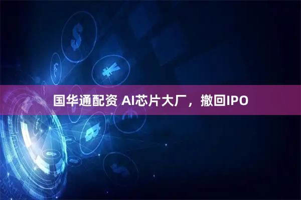 国华通配资 AI芯片大厂，撤回IPO